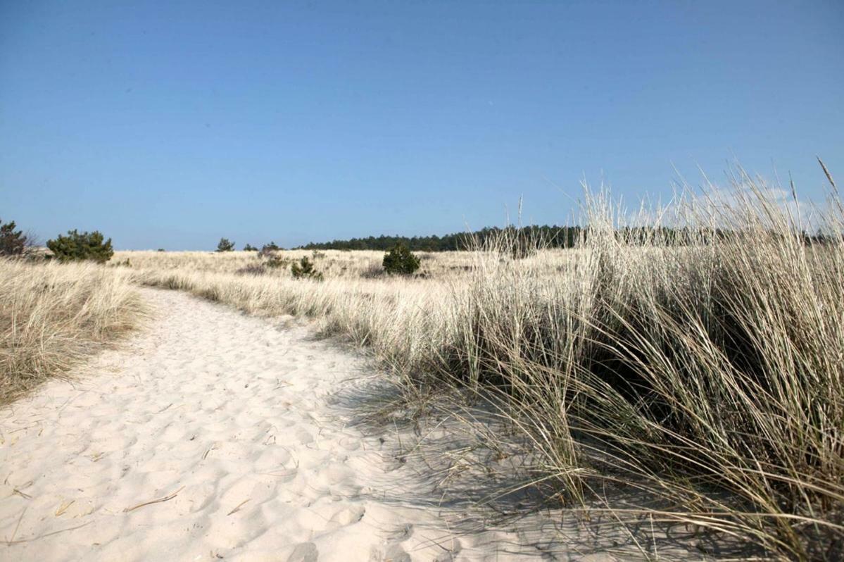 La Tulipe Lejlighed Egmond aan den Hoef Eksteriør billede